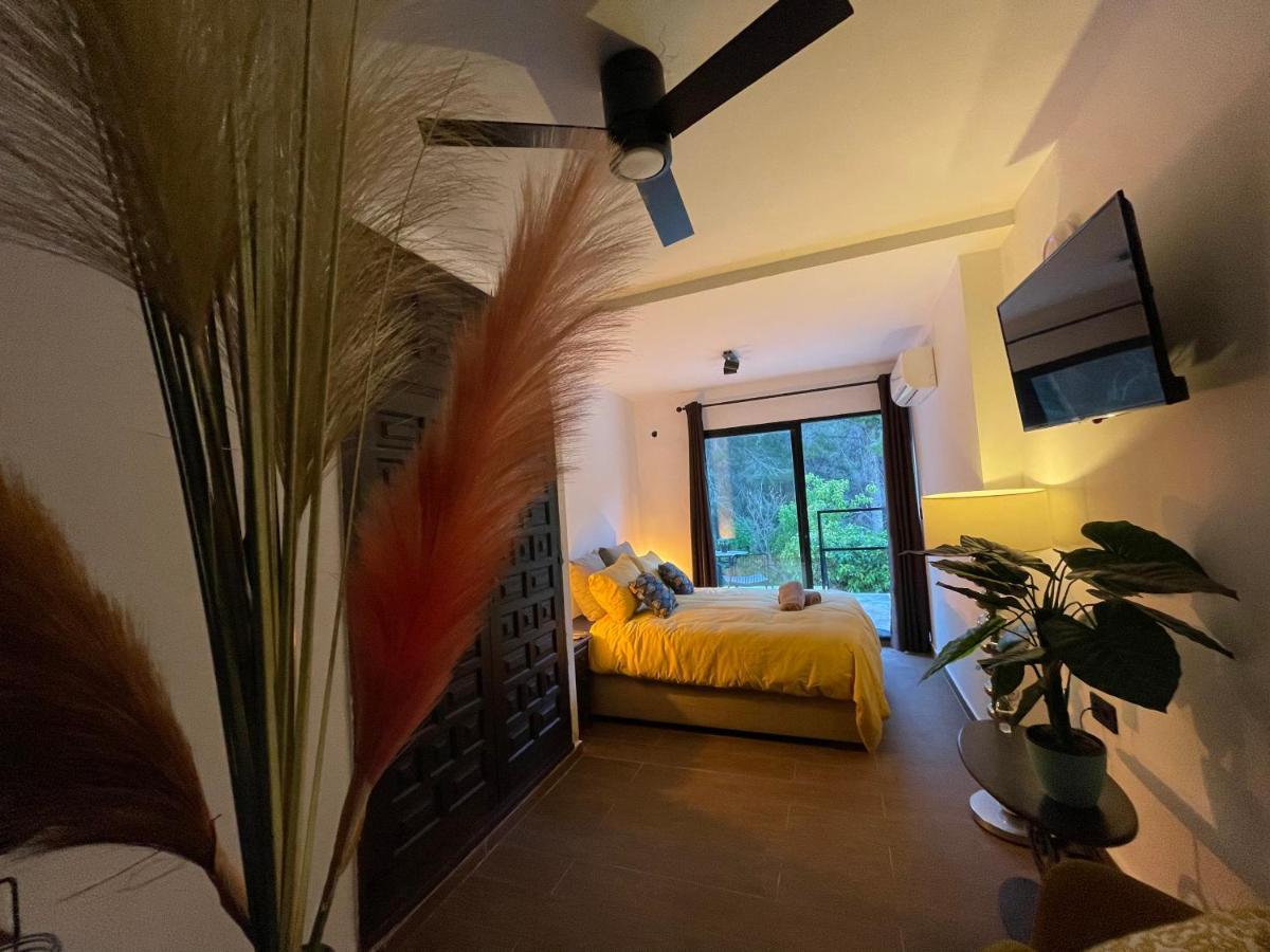 Bed & Breakfast La Vida